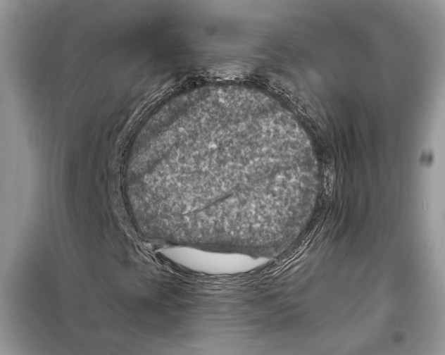 X0000098071393200805020946