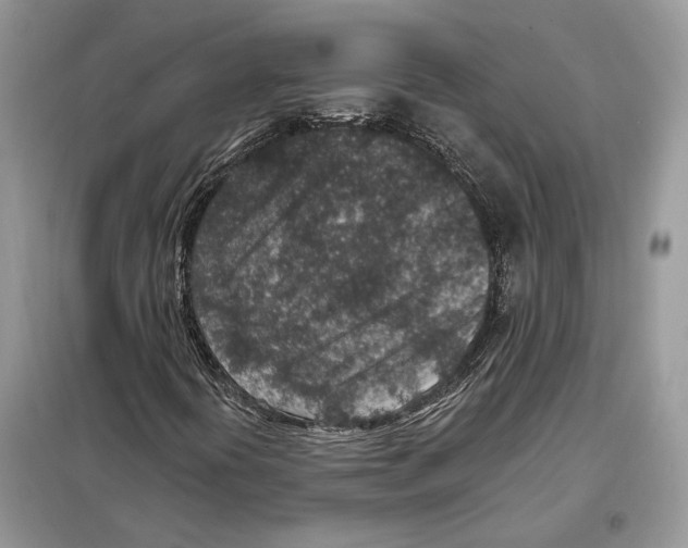 X0000098071394200805020947