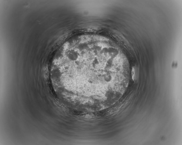 X0000098071395200805020947