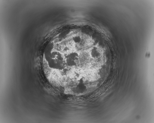 X0000098071397200805020947