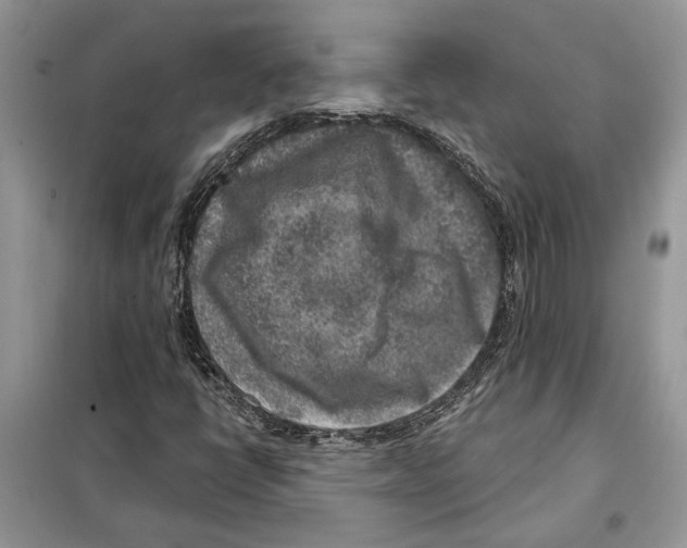 X0000098071398200805020947