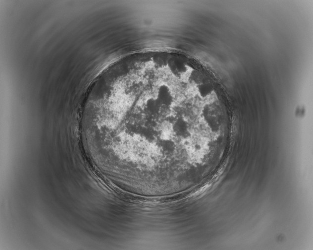 X0000098071401200805020947