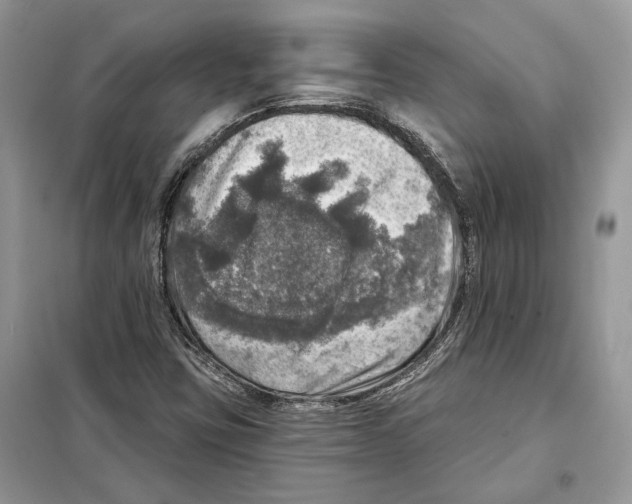 X0000098071403200805020947