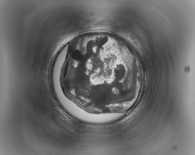 X0000098071405200805020947