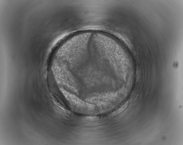 X0000098071406200805020947