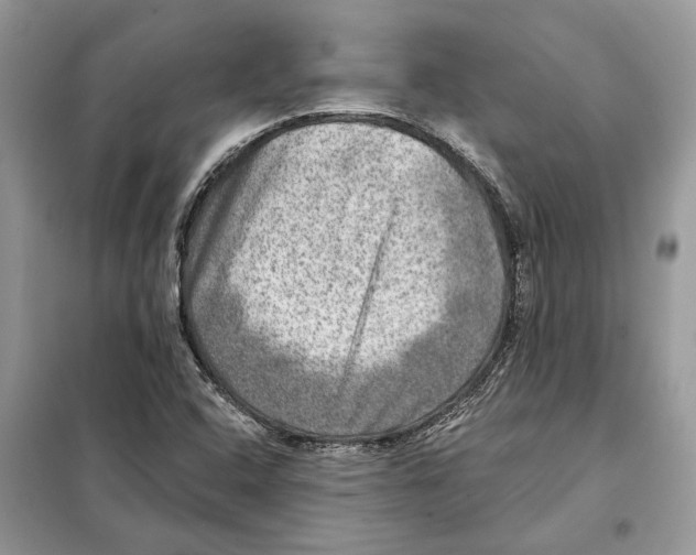 X0000098071408200805020947