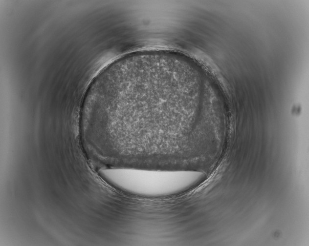 X0000098071409200805020947