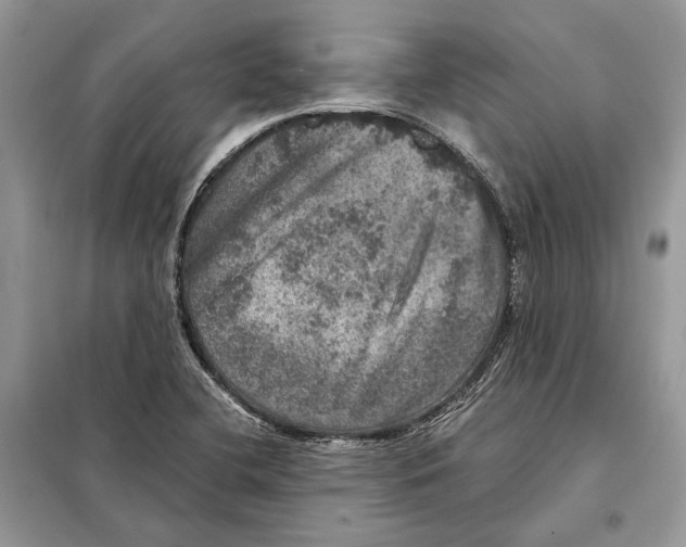 X0000098071412200805020947