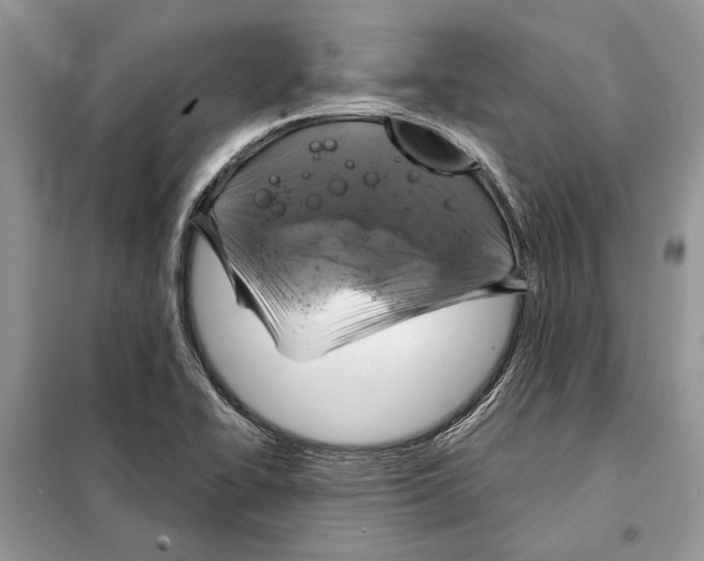 X0000098071414200805020947