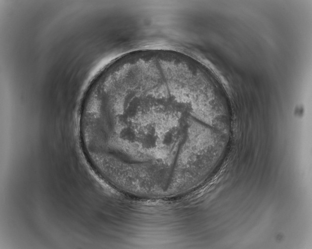 X0000098071416200805020947