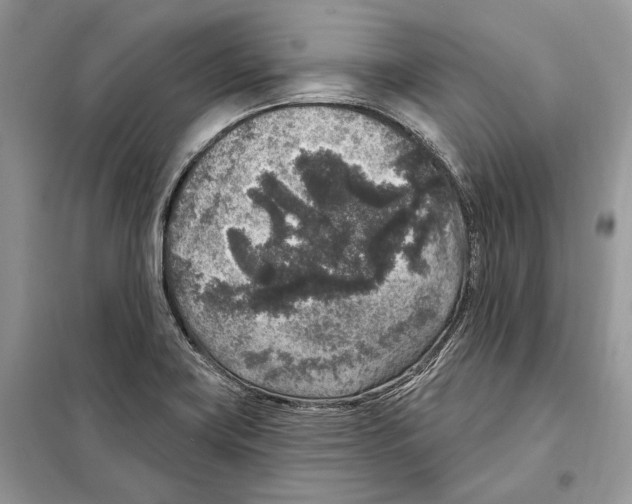 X0000098071419200805020947