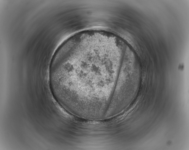 X0000098071420200805020947