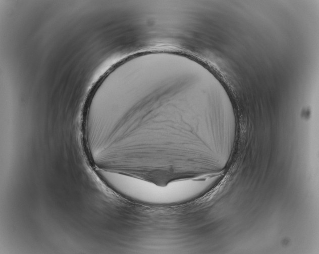 X0000098071422200805020947