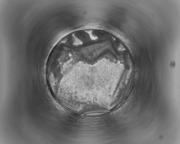 X0000098071423200805020947