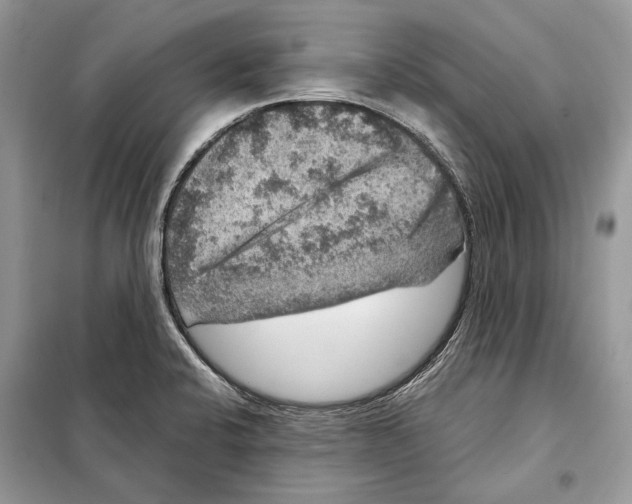 X0000098071424200805020947