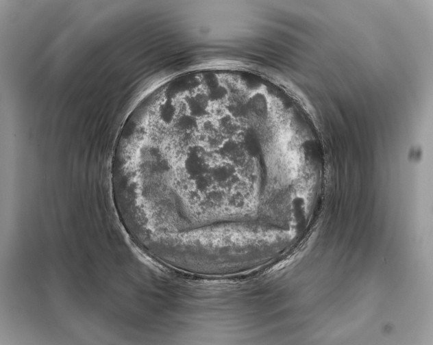 X0000098071425200805020947