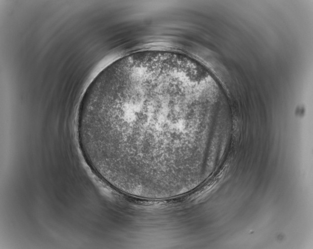 X0000098071426200805020947