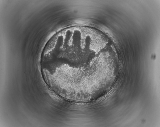 X0000098071427200805020947