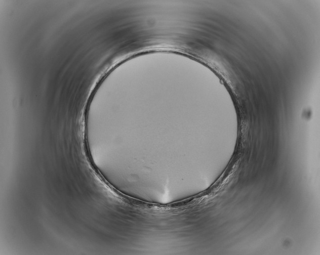 X0000098071428200805020947