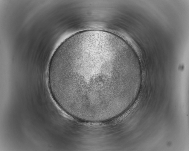 X0000098071432200805020947