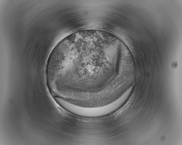 X0000098071434200805020947