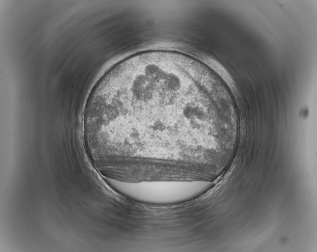 X0000098071436200805020947