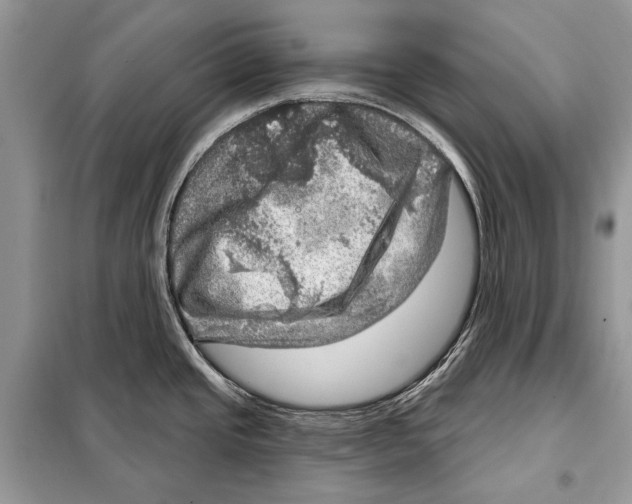 X0000098071437200805020947