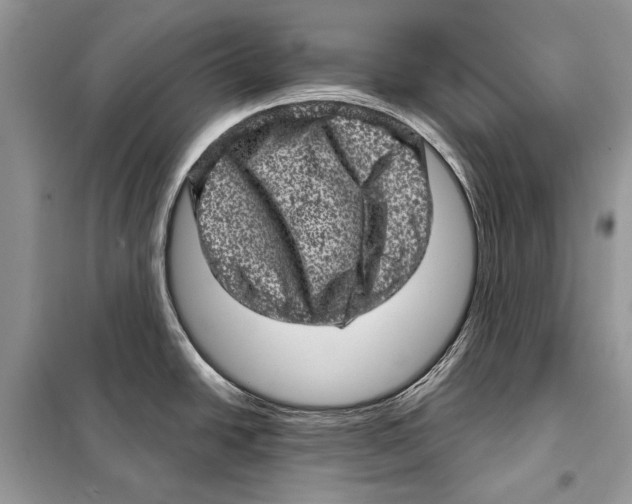 X0000098071438200805020947