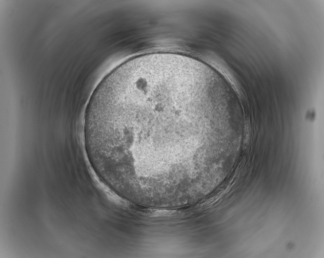 X0000098071439200805020947