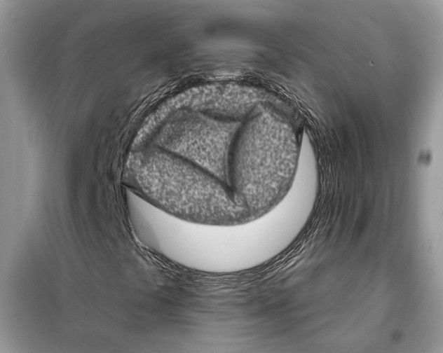 X0000098071441200805020946