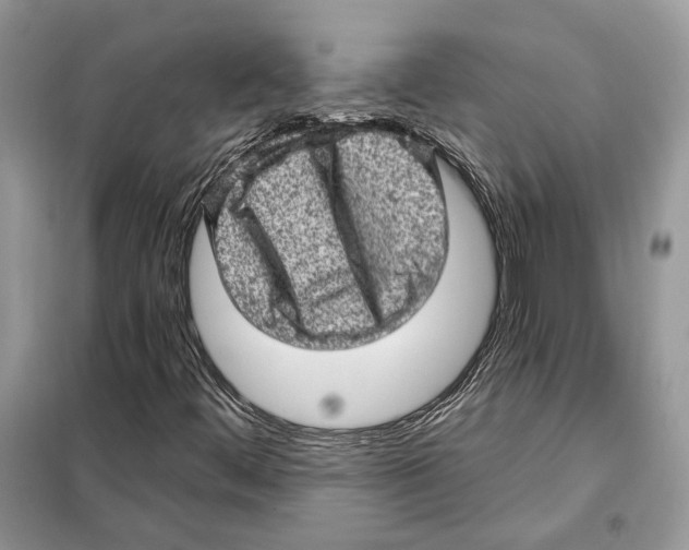 X0000098071444200805020946