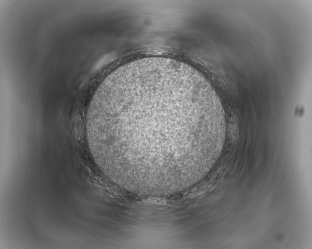 X0000098071446200805020946