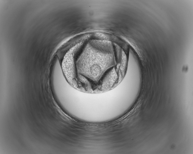 X0000098071452200805020946