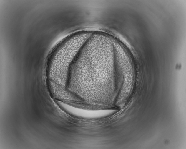 X0000098071456200805020946