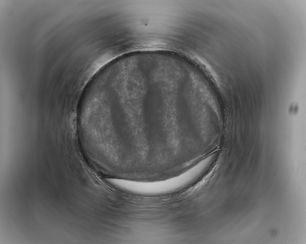 X0000098071457200805020946