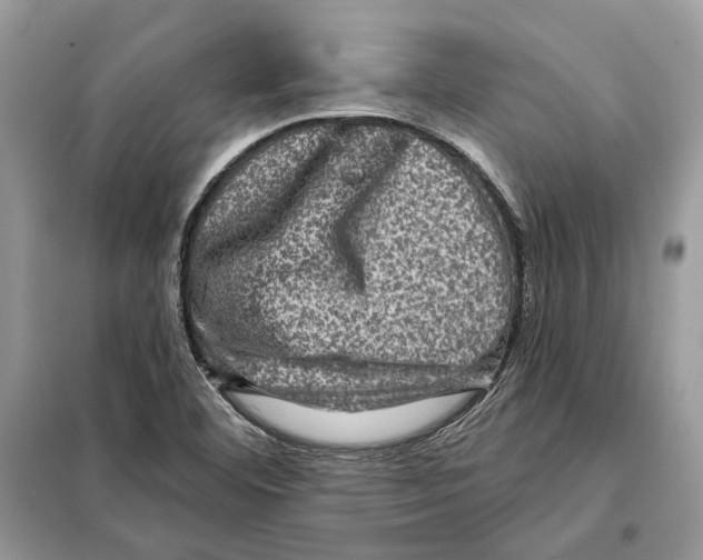 X0000098071460200805020946