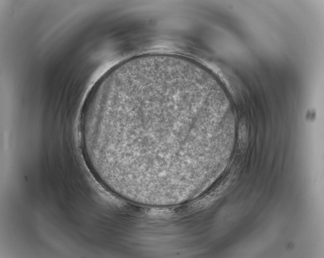 X0000098071466200805020946