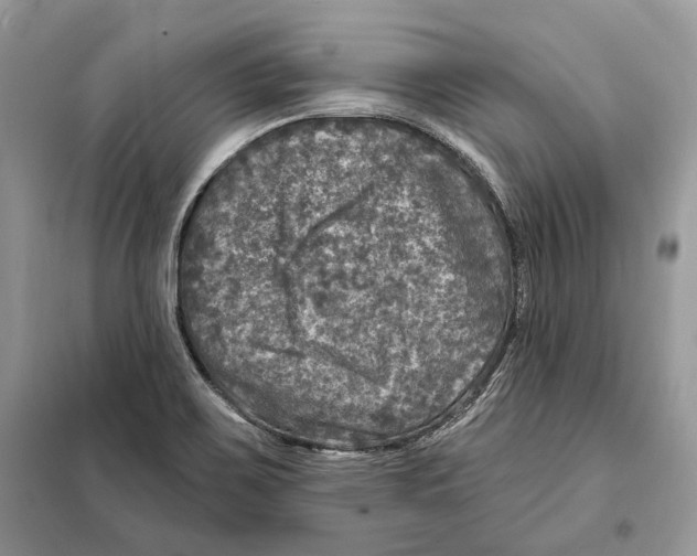 X0000098071467200805020946