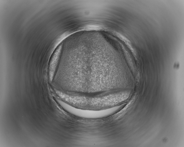 X0000098071473200805020946