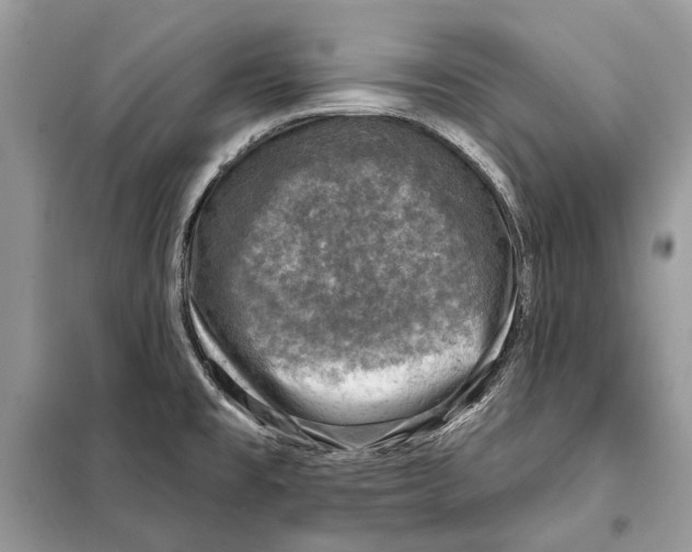 X0000098071477200805020946