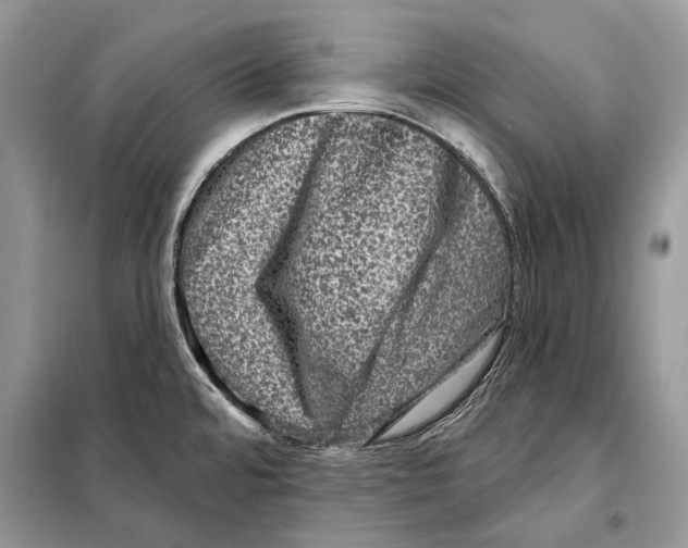 X0000098071480200805020946