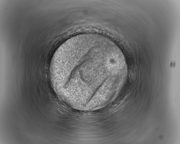 X0000098071490200805020945