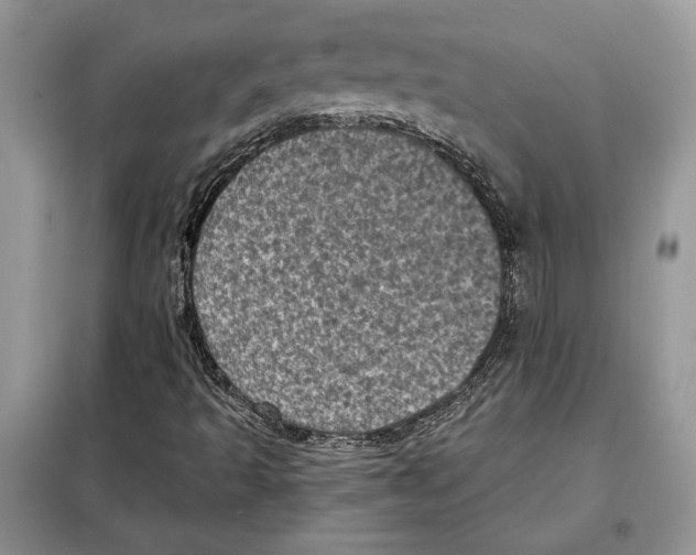 X0000098071493200805020945