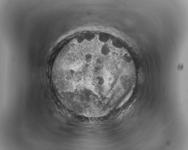 X0000098071494200805020945