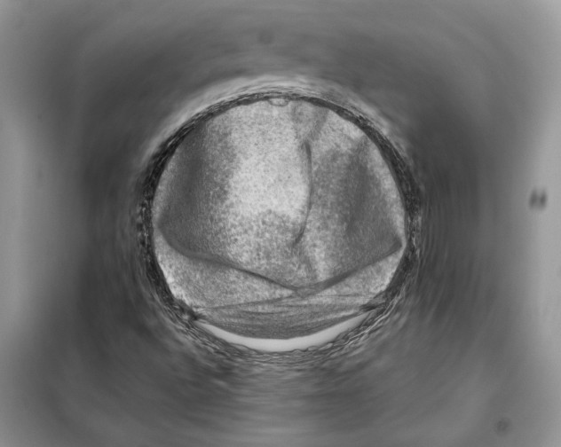 X0000098071496200805020945