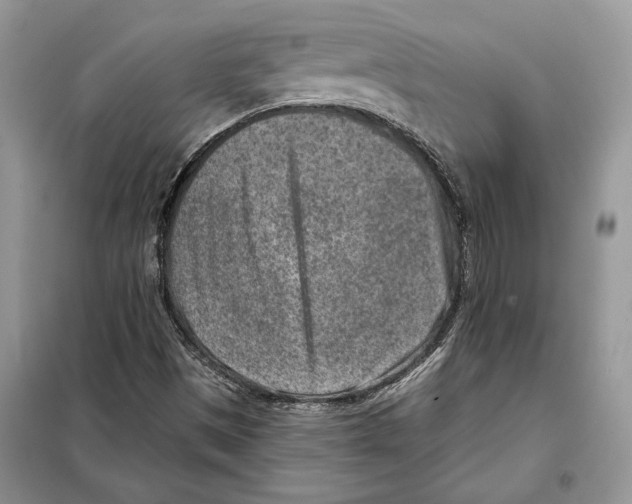 X0000098071497200805020945