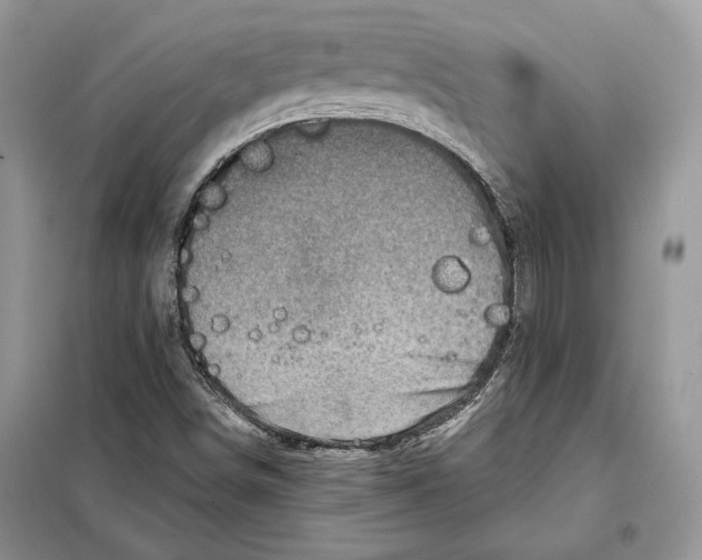 X0000098071498200805020945