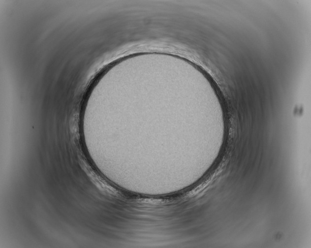 X0000098071499200805020945