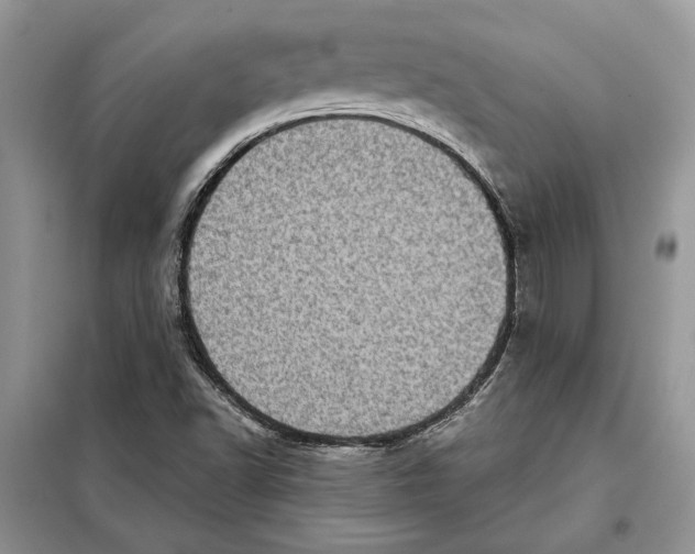 X0000098071502200805020945