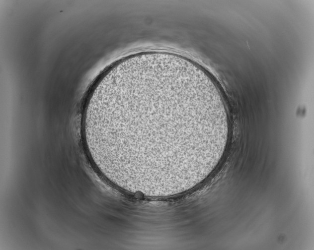 X0000098071503200805020945